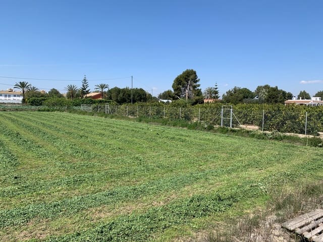 Grond te koop in Formentera del Segura - € 89.000 (Ref: 5990868)