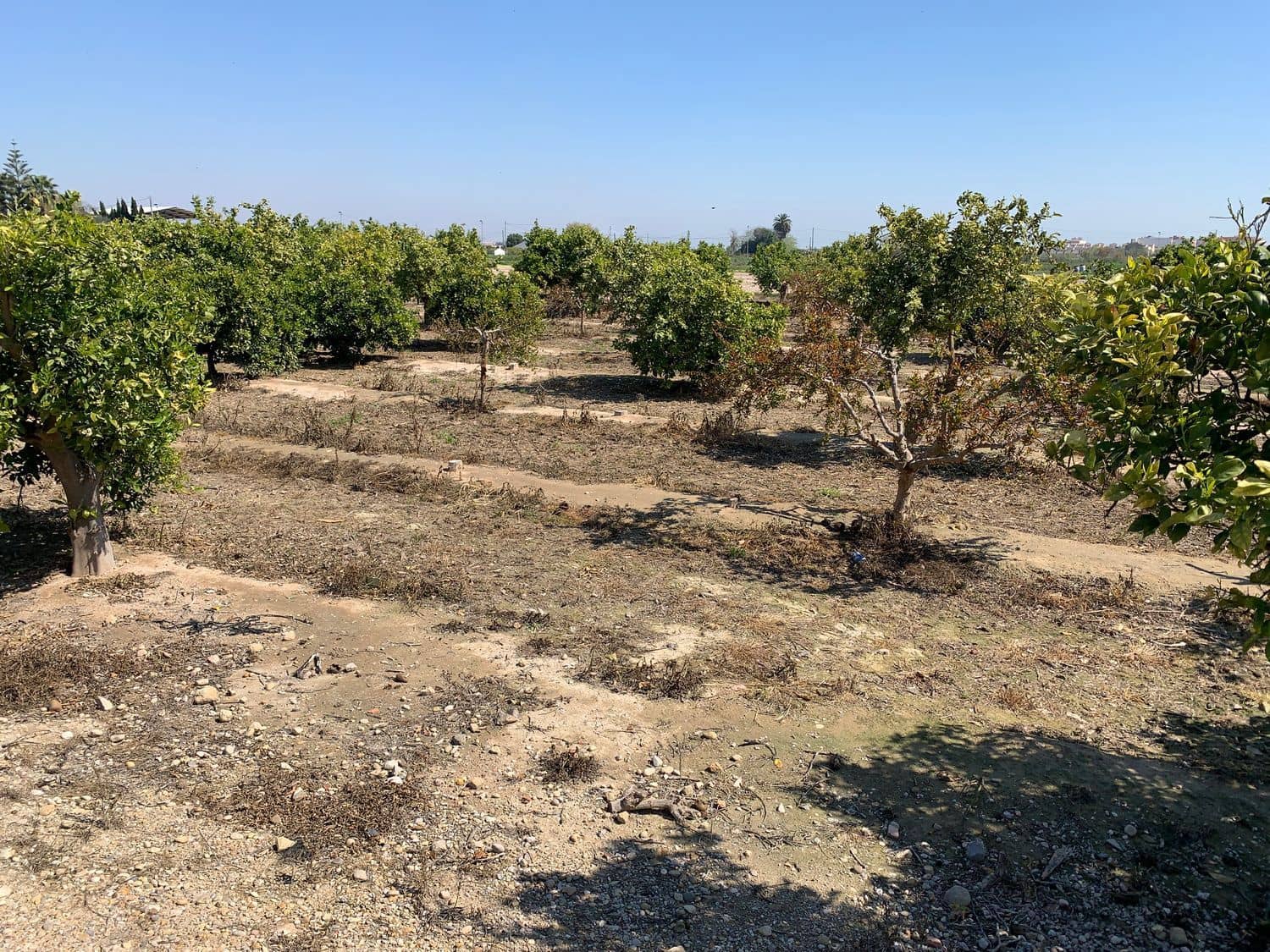 Grunde uden byggetilladelser til salg i Formentera del Segura - € 89.000 (Ref: 5990868)