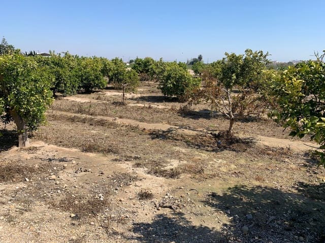 Grond te koop in Formentera del Segura - € 89.000 (Ref: 5990868)