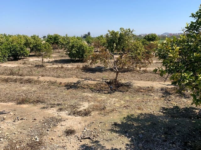 Grond te koop in Formentera del Segura - € 89.000 (Ref: 5990868)