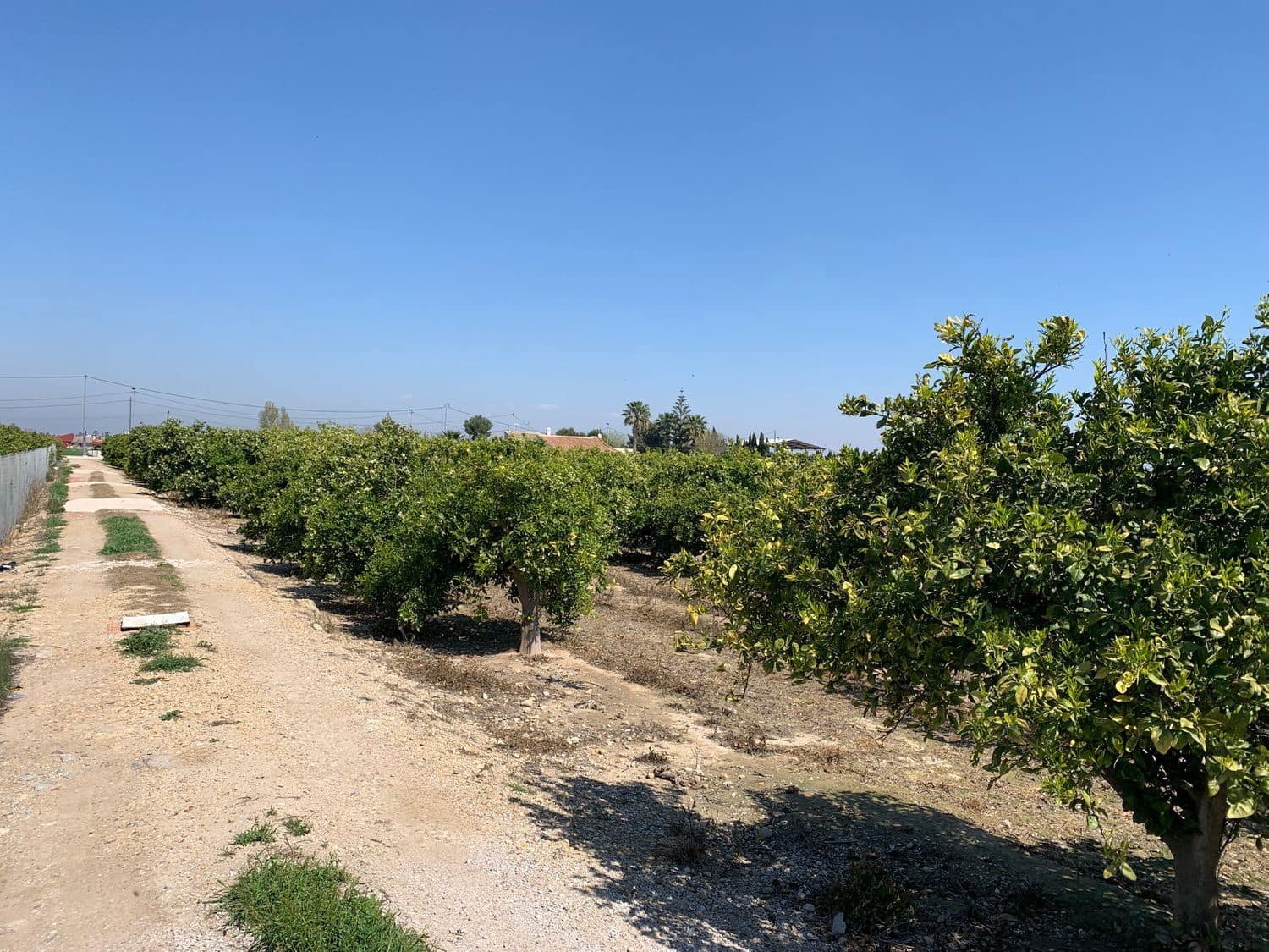 Grunde uden byggetilladelser til salg i Formentera del Segura - € 39.000 (Ref: 6000718)