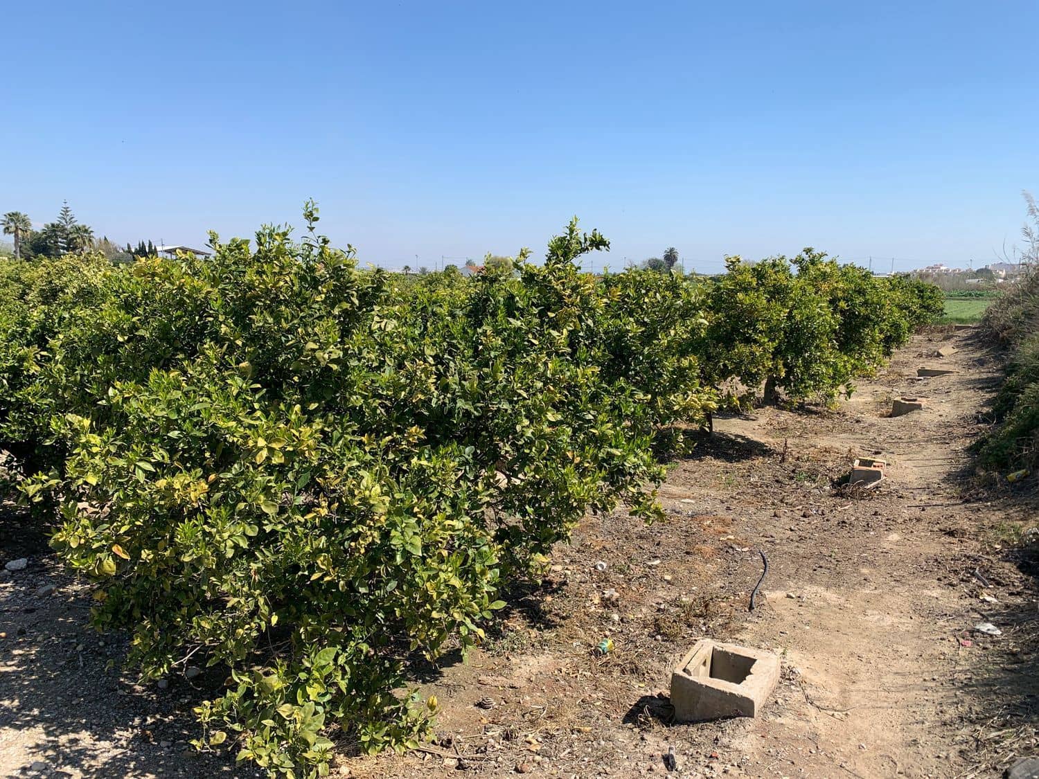 Grunde uden byggetilladelser til salg i Formentera del Segura - € 39.000 (Ref: 6000718)