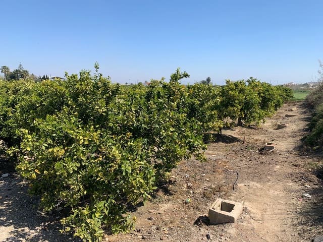 Grond te koop in Formentera del Segura - € 39.000 (Ref: 6000718)