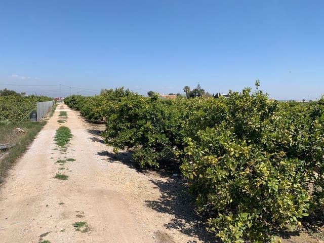 Grond te koop in Formentera del Segura - € 39.000 (Ref: 6000718)