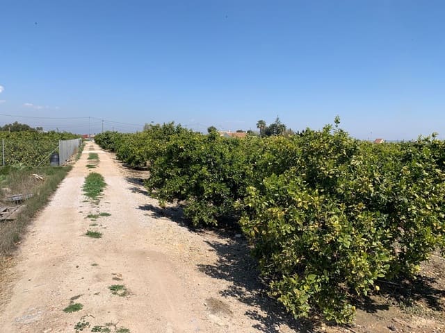 Grond te koop in Formentera del Segura - € 39.000 (Ref: 6000718)