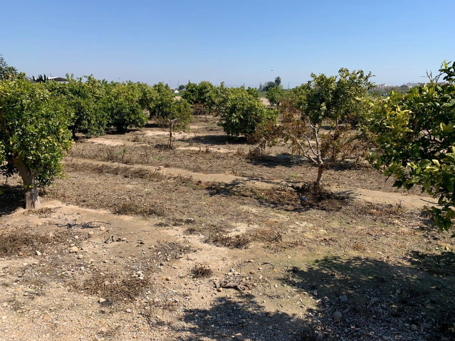 Grunde uden byggetilladelser til salg i Formentera del Segura - € 39.000 (Ref: 6000718)