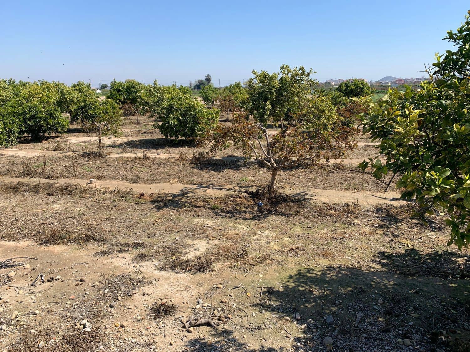 Grunde uden byggetilladelser til salg i Formentera del Segura - € 39.000 (Ref: 6000718)