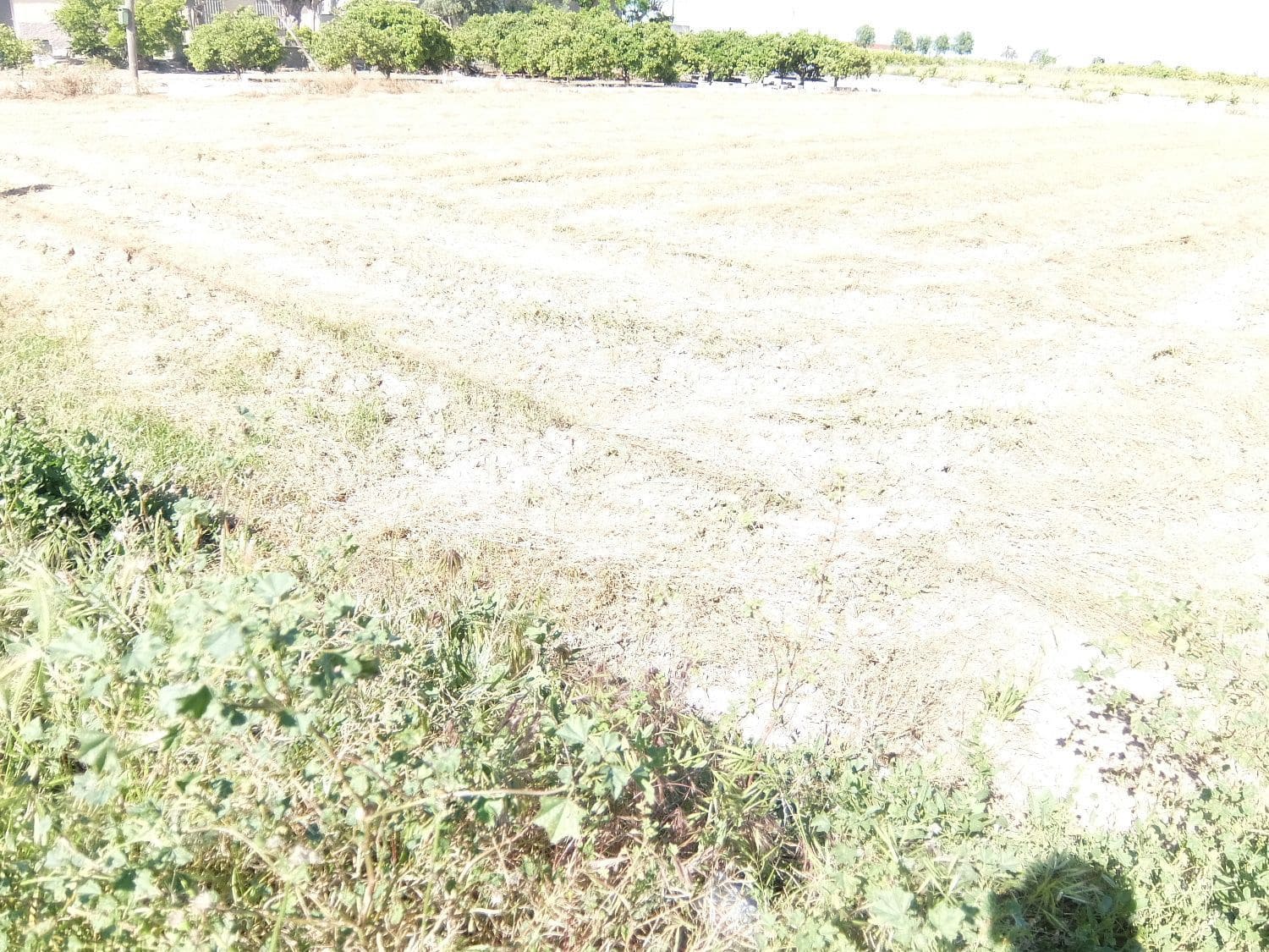 Grond te koop in Almoradi - € 29.000 (Ref: 6067816)