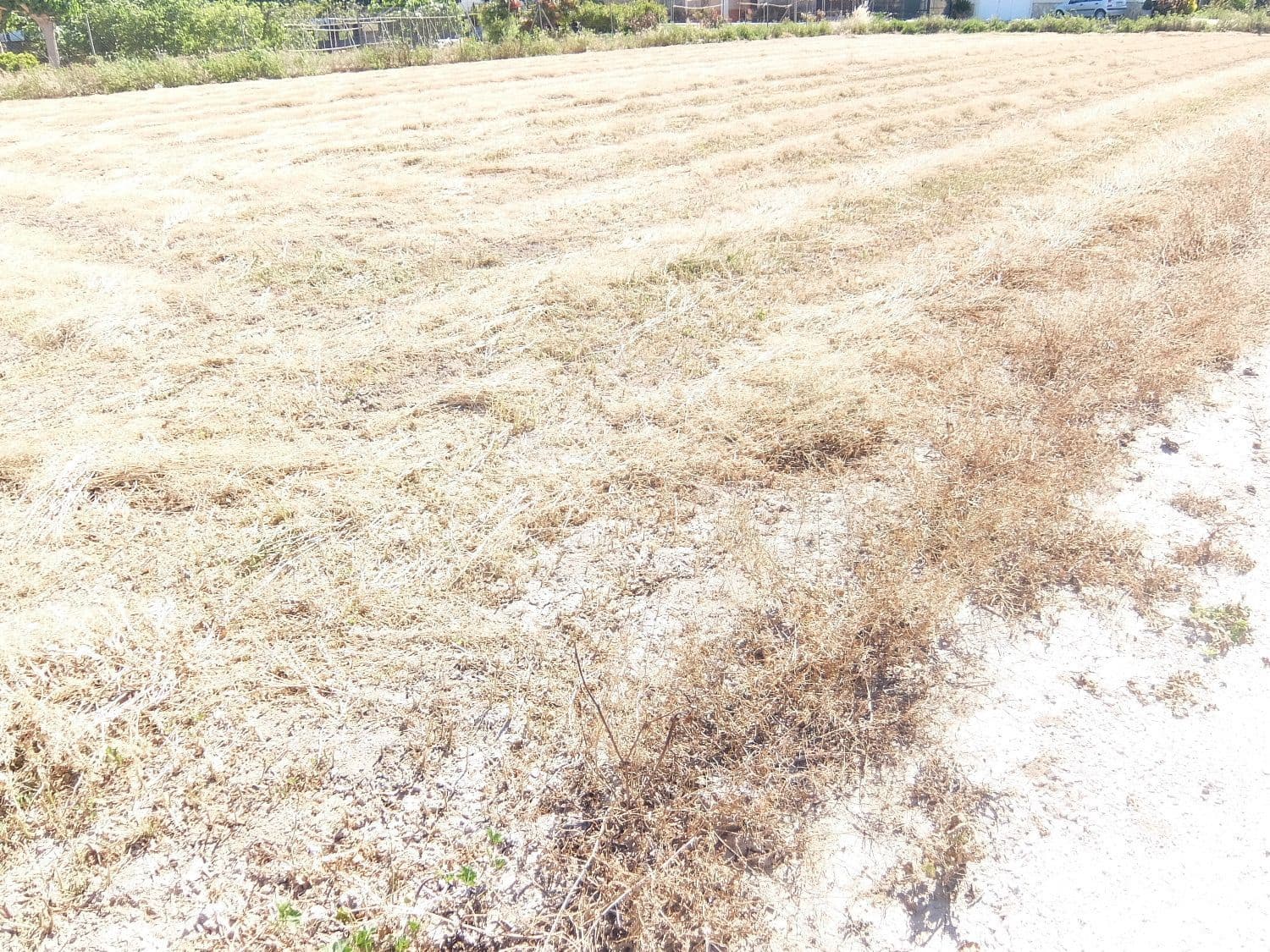 Grond te koop in Almoradi - € 29.000 (Ref: 6067816)