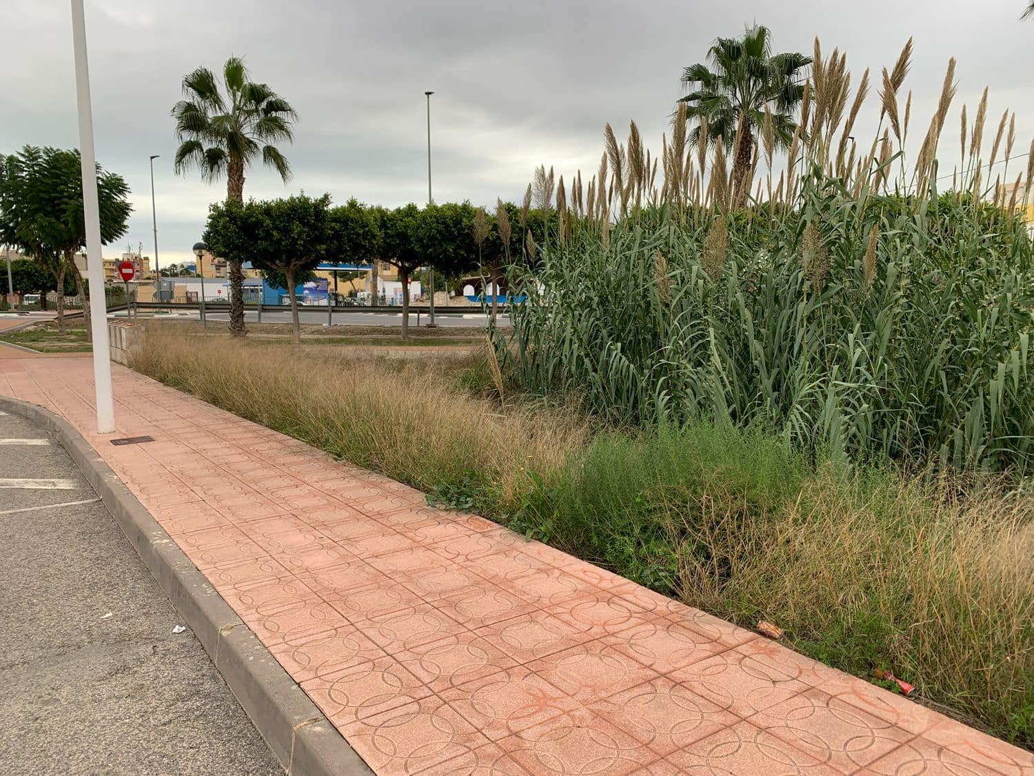 Ubebygd land til salgs i Rojales - € 229 600 (Ref: 6436102)