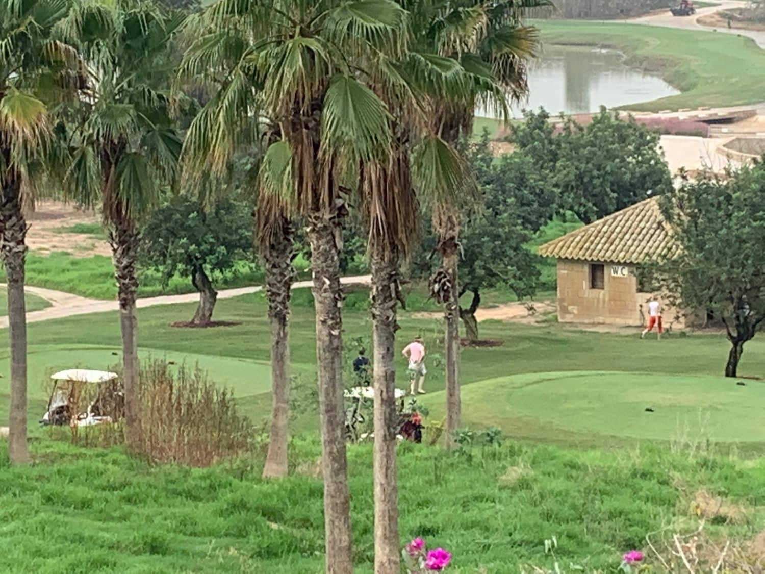 Commercial for sale in Algorfa - € 89,000 (Ref: 7158629)