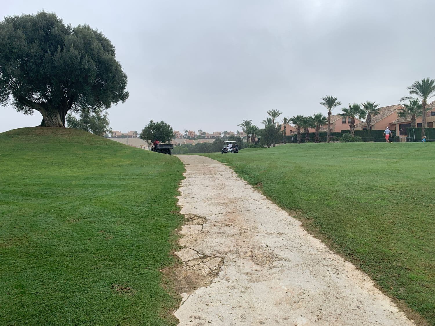 Commercial for sale in Algorfa - € 89,000 (Ref: 7158629)