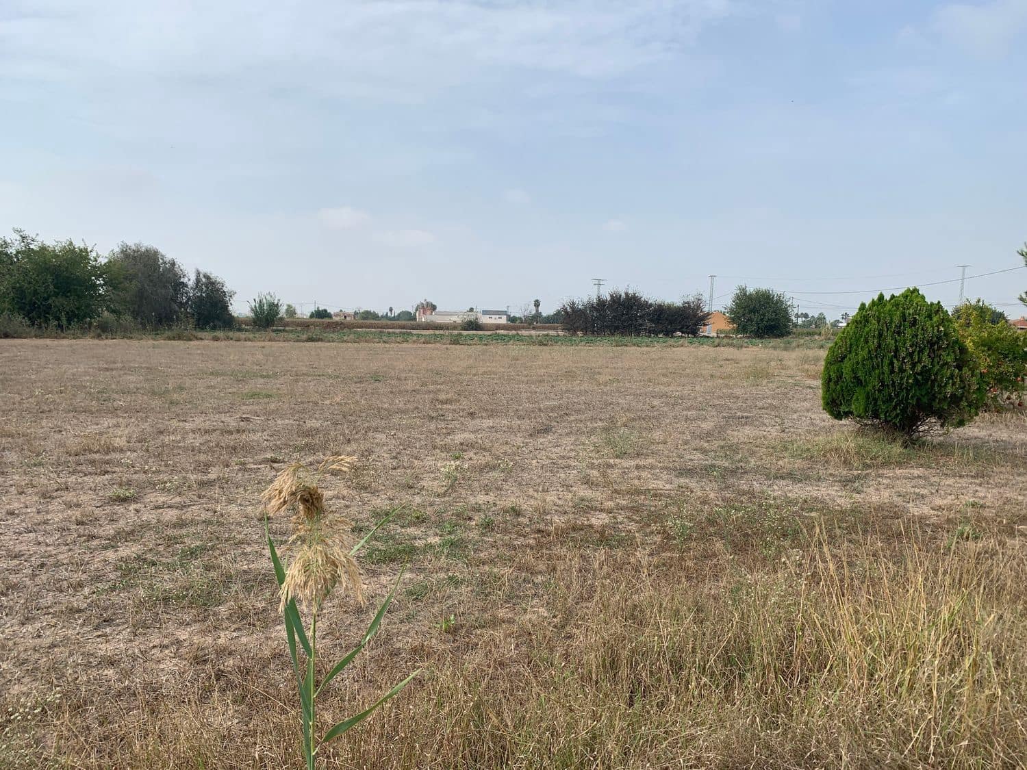 4 bedroom Finca/Country House for sale in Dolores - € 135,000 (Ref: 7161956)