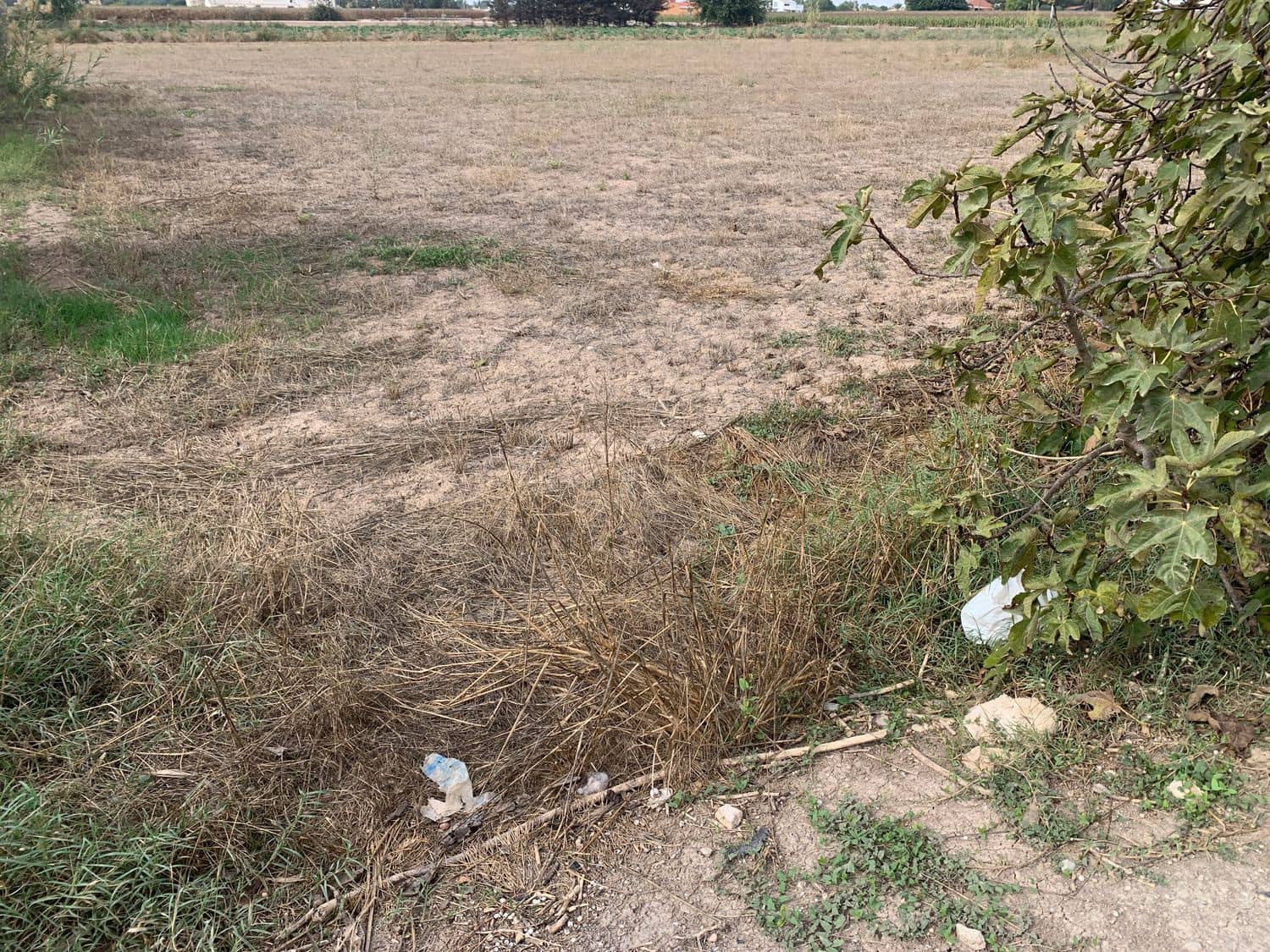 4 bedroom Finca/Country House for sale in Dolores - € 135,000 (Ref: 7161956)