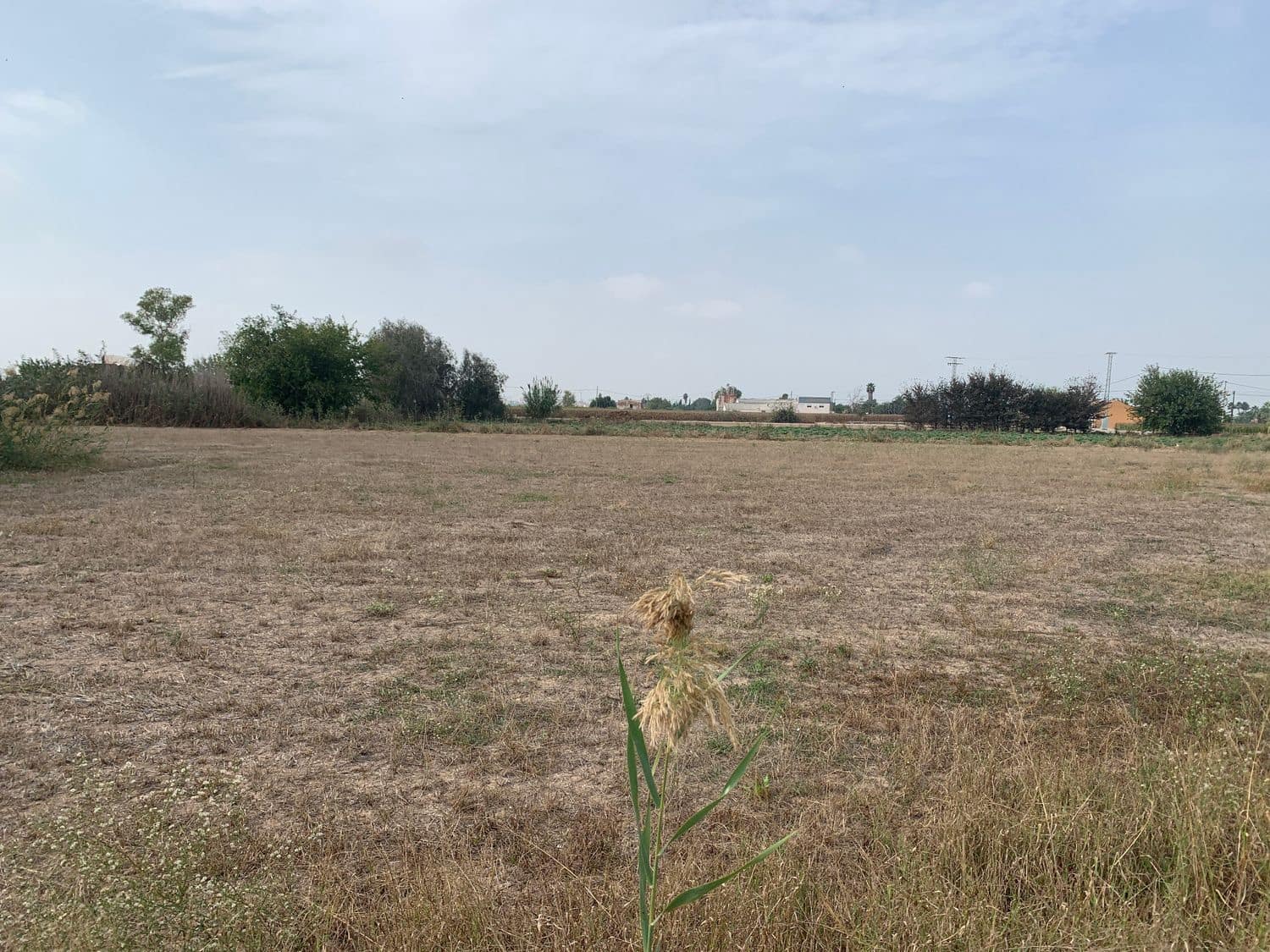 4 bedroom Finca/Country House for sale in Dolores - € 135,000 (Ref: 7161956)