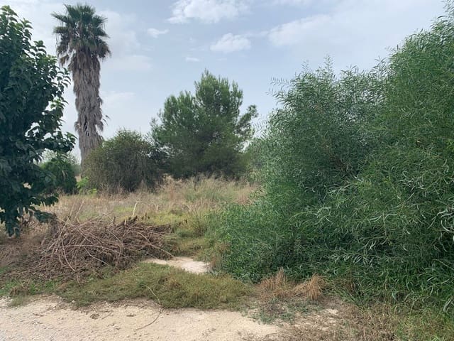 4 bedroom Finca/Country House for sale in Dolores - € 135,000 (Ref: 7161956)