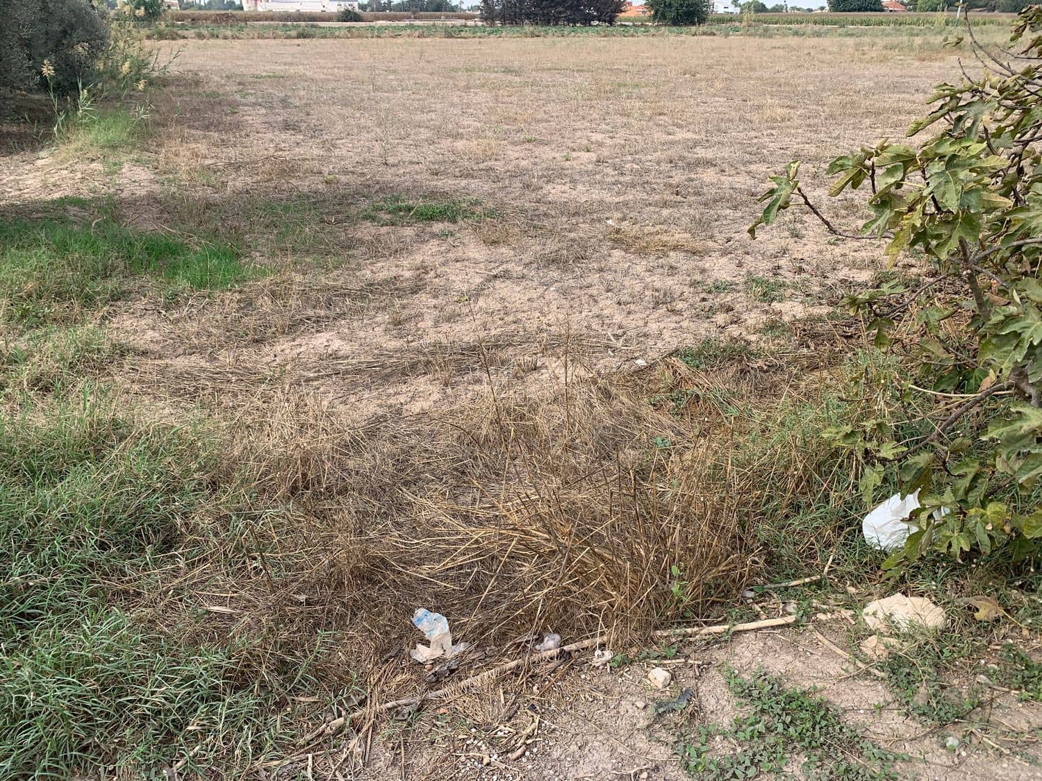 4 bedroom Finca/Country House for sale in Dolores - € 135,000 (Ref: 7161956)