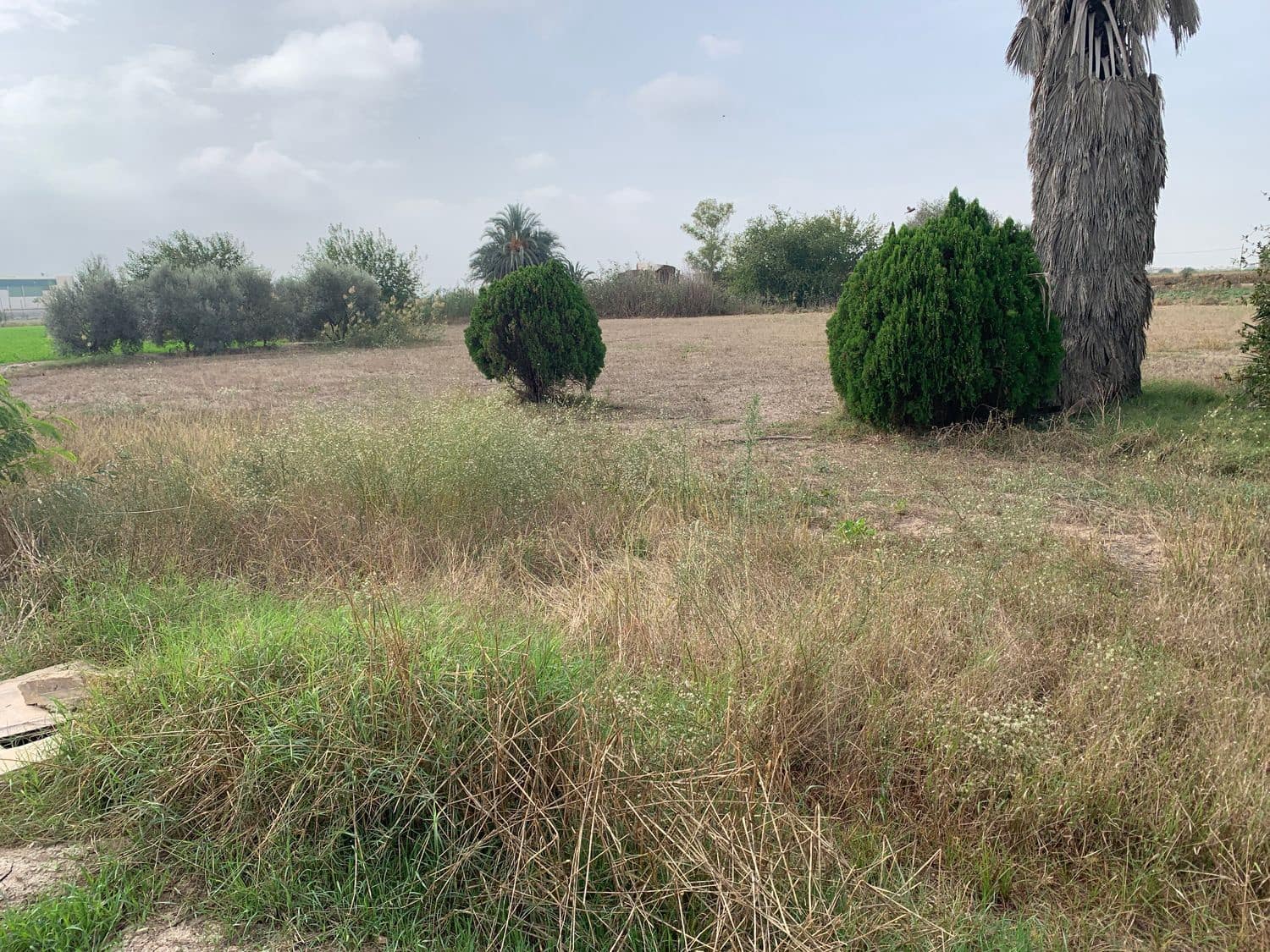 4 bedroom Finca/Country House for sale in Dolores - € 135,000 (Ref: 7161956)