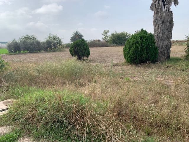 4 bedroom Finca/Country House for sale in Dolores - € 135,000 (Ref: 7161956)