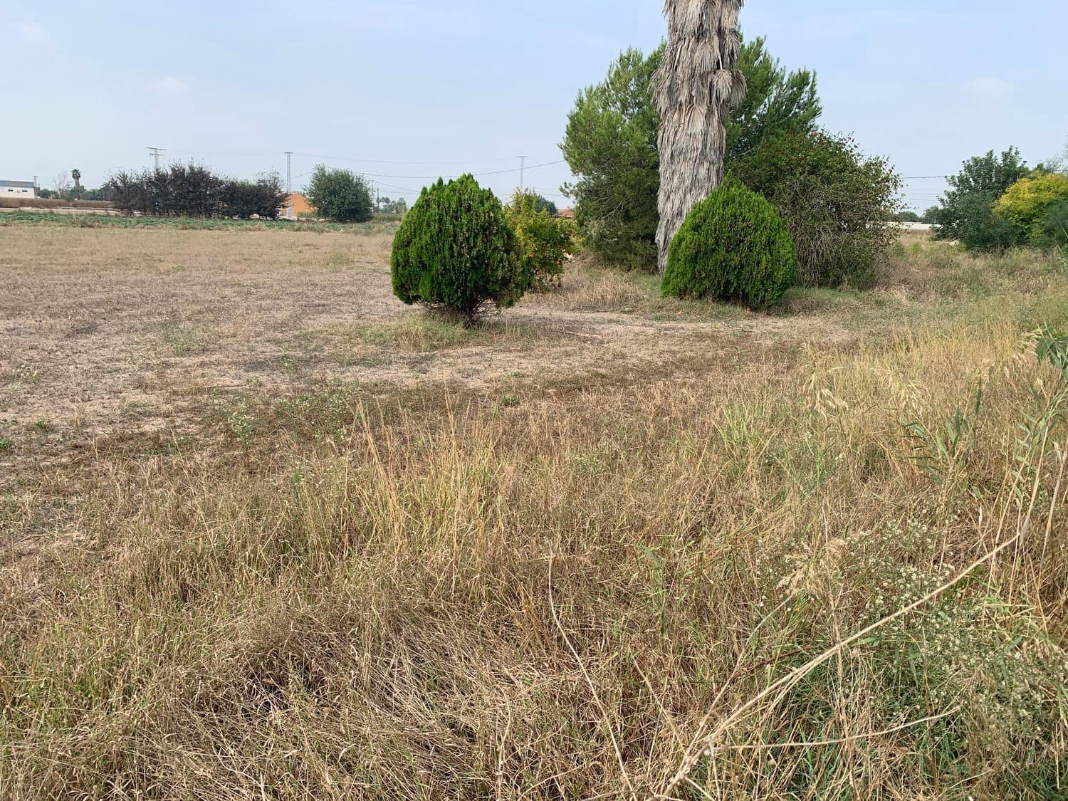 4 bedroom Finca/Country House for sale in Dolores - € 135,000 (Ref: 7161956)