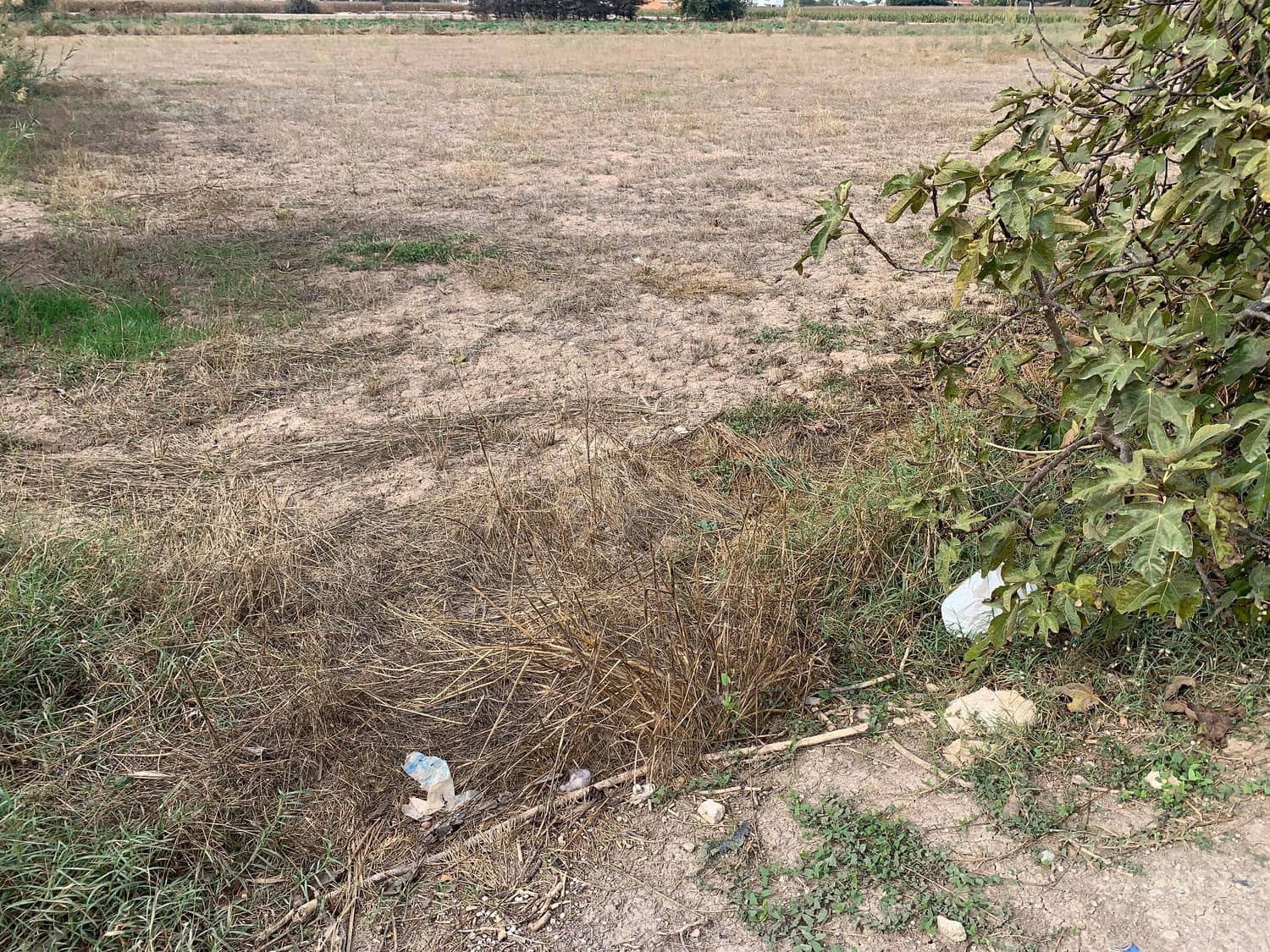 4 bedroom Finca/Country House for sale in Dolores - € 135,000 (Ref: 7161956)