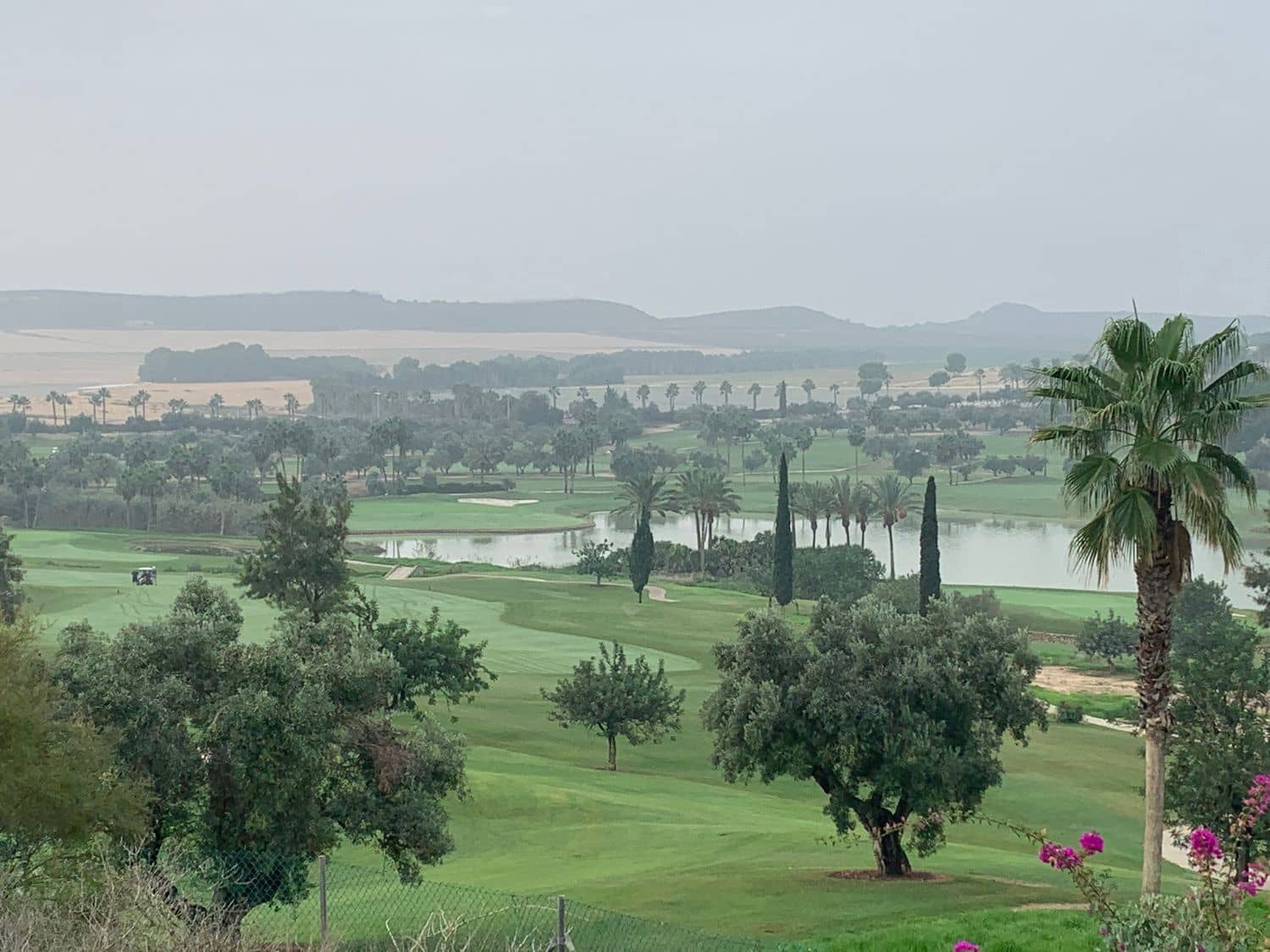 Erhverv til leje i Algorfa - € 500 (Ref: 7335988)