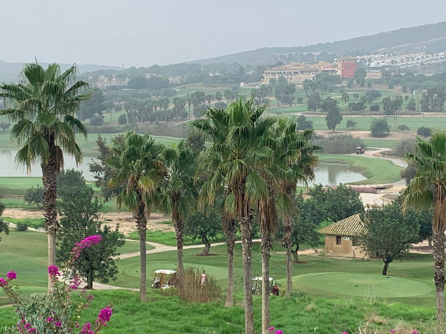 Erhverv til leje i Algorfa - € 500 (Ref: 7335988)