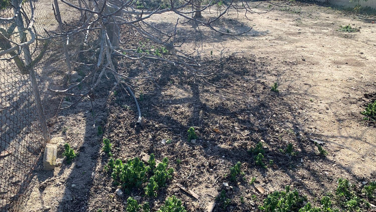 3 soverom Finca/Herregård til salgs i Orihuela - € 110 000 (Ref: 7375017)