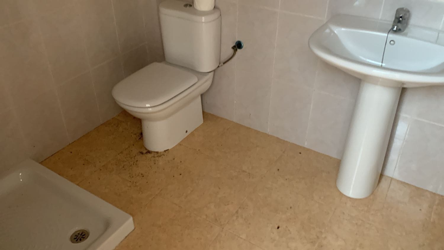 Erhverv til leje i Catral - € 500 (Ref: 7422865)