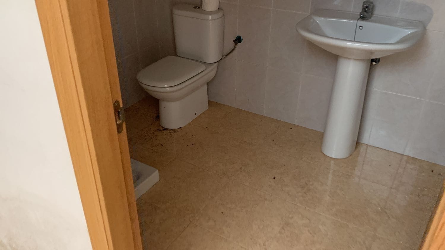 Local Commercial à vendre à Catral - 120 000 € (Ref: 7422866)