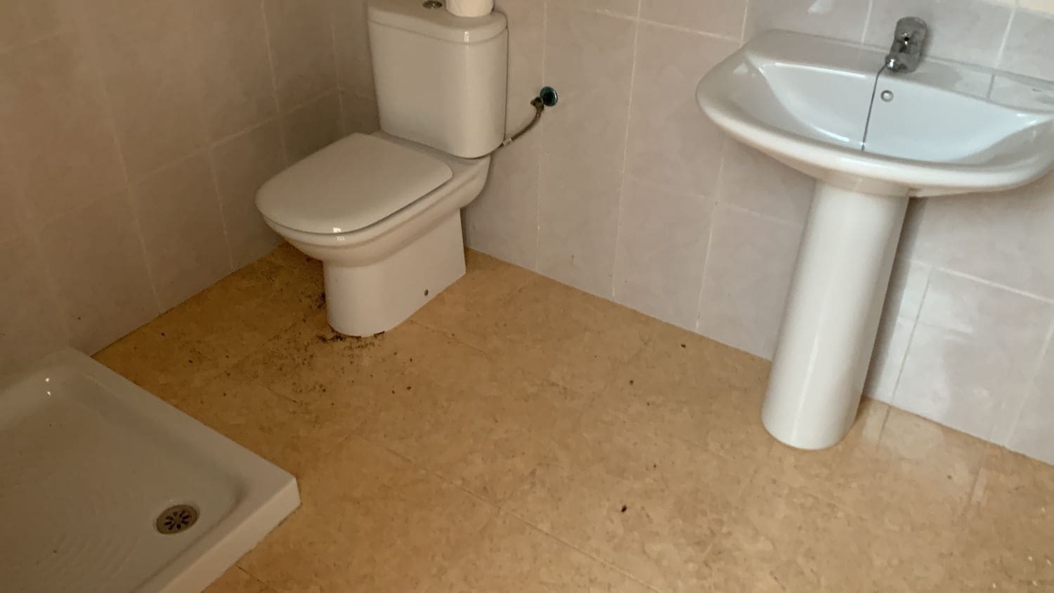 Local Commercial à vendre à Catral - 120 000 € (Ref: 7422866)