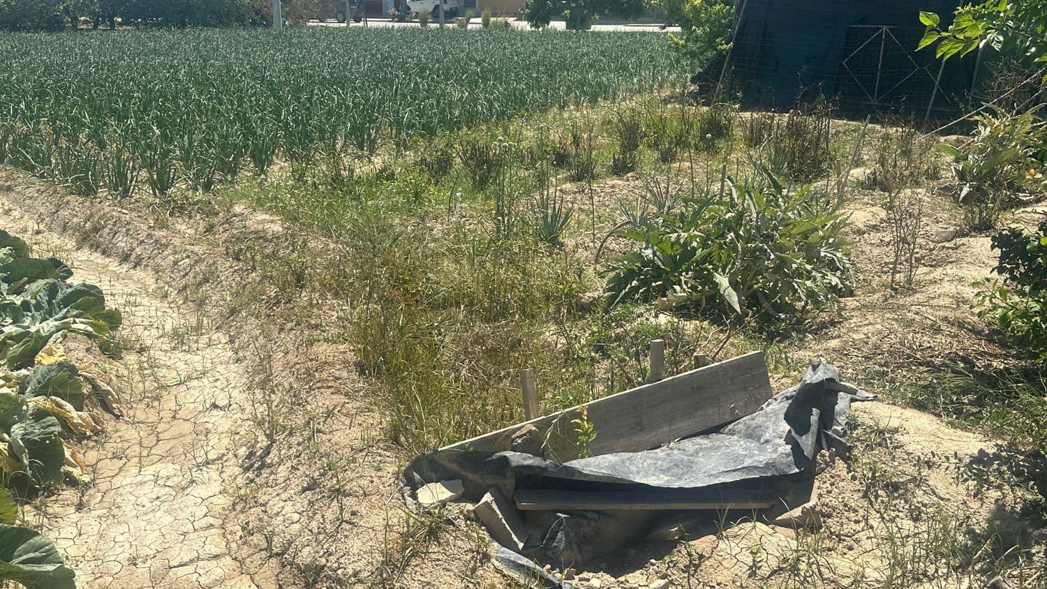 4 soveværelse Finca/Landehus til salg i Orihuela - € 160.000 (Ref: 7574351)