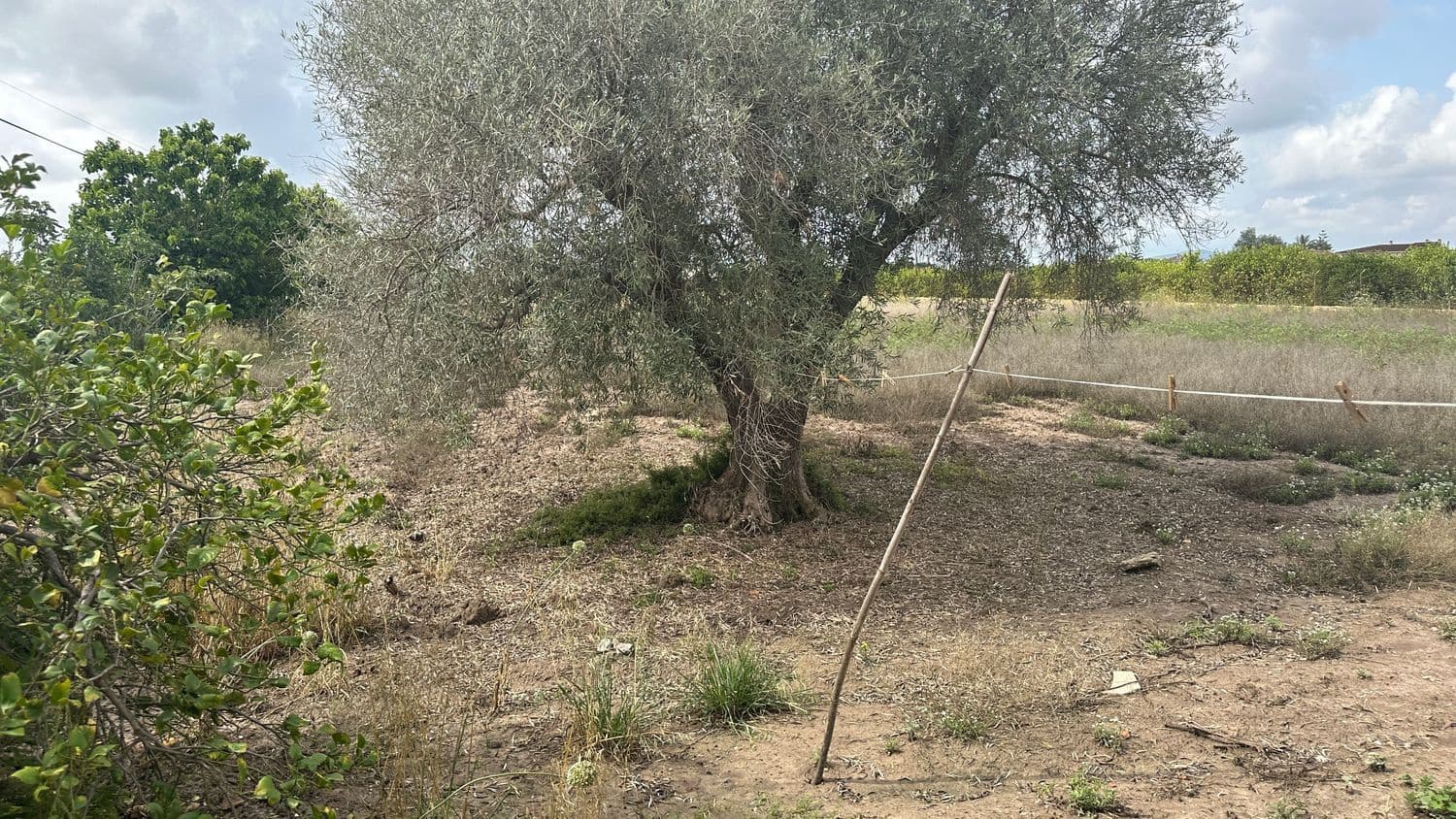 4 chambre Finca/Maison de Campagne à vendre à Orihuela avec garage - 149 000 € (Ref: 7593977)