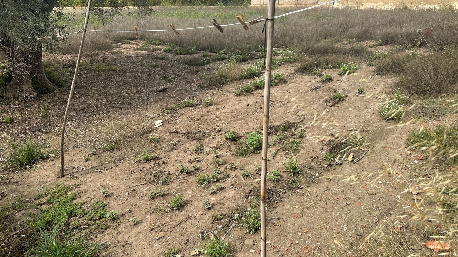 4 chambre Finca/Maison de Campagne à vendre à Orihuela avec garage - 149 000 € (Ref: 7593977)