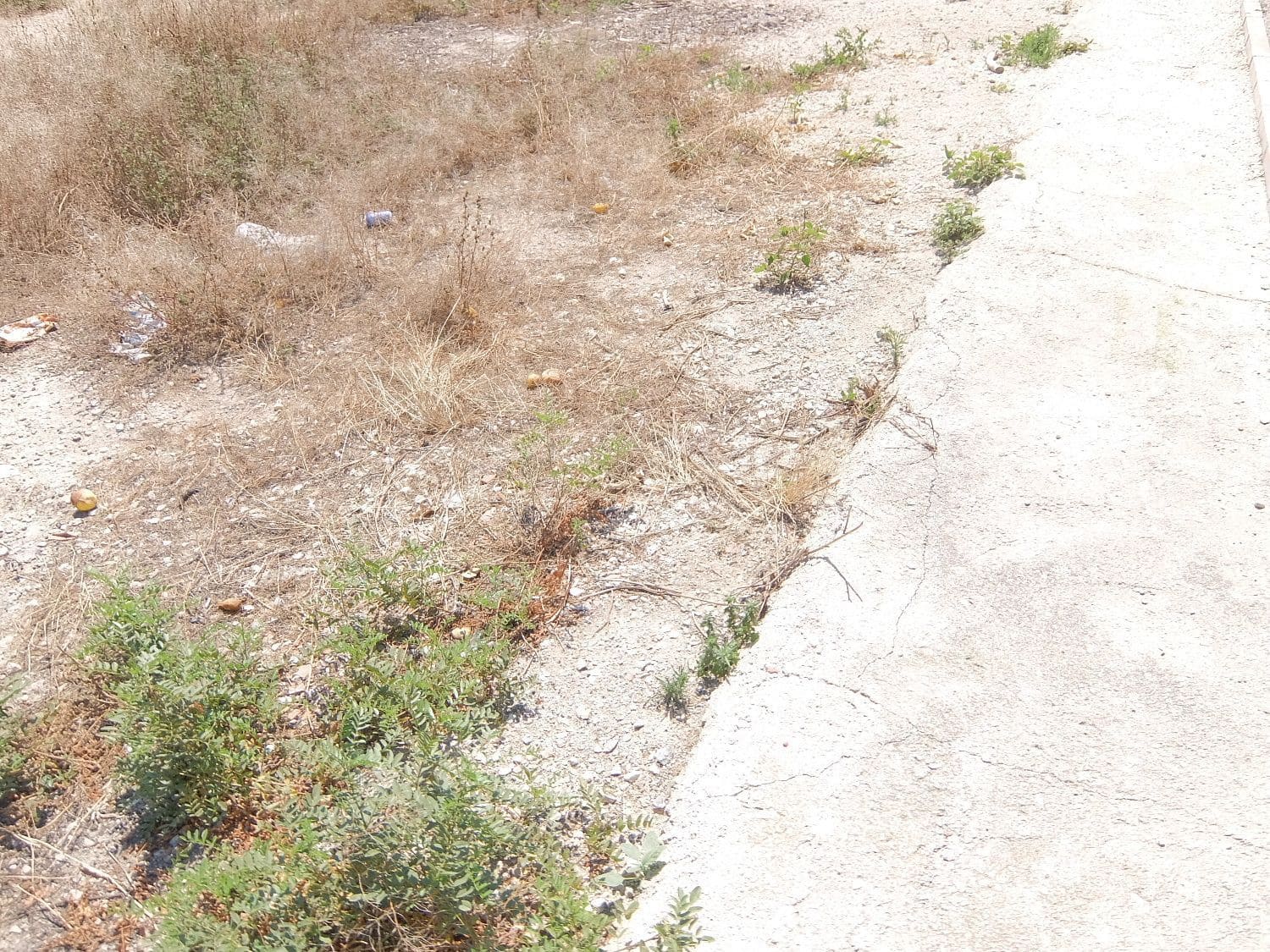 Grunde uden byggetilladelser til salg i Almoradi - € 124.000 (Ref: 7917984)