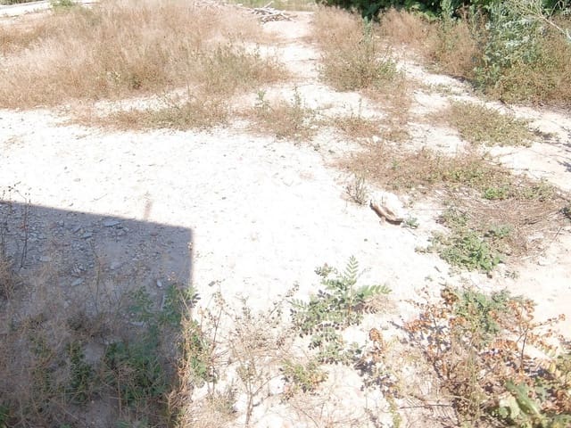 Grond te koop in Almoradí - € 124.000 (Ref: 7917984)