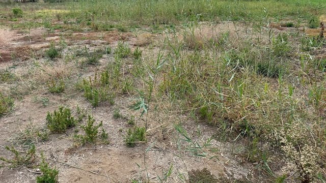 5 Zimmer Finca/Landgut zu verkaufen in Molins - Campaneta - San Bartolomé, Orihuela mit Pool - 130.000 € (Ref: 7945257)