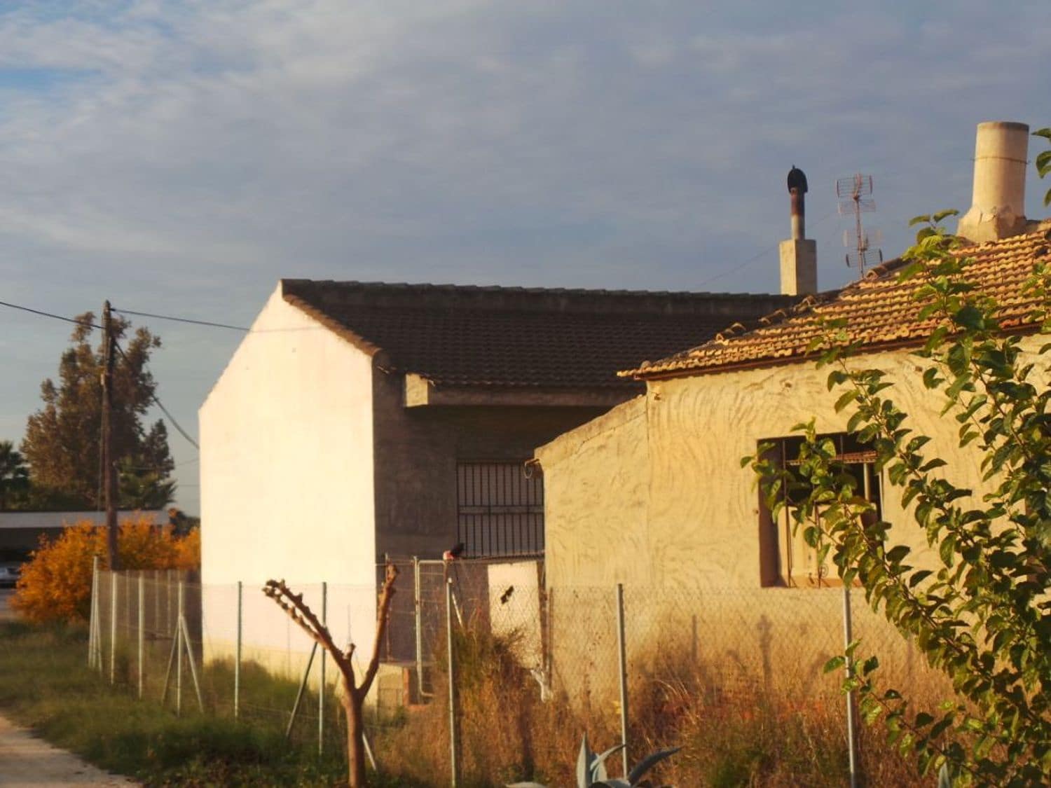 5 slaapkamer Finca/Landhuis te koop in Orihuela met zwembad garage - € 162.500 (Ref: 7945257)