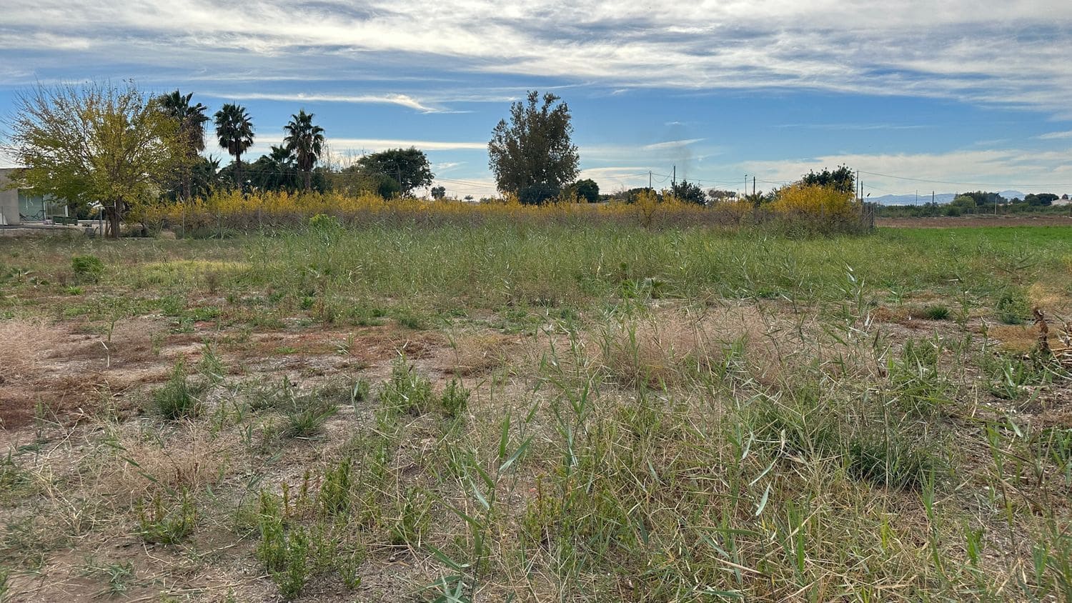 5 slaapkamer Finca/Landhuis te koop in Orihuela met zwembad garage - € 162.500 (Ref: 7945257)