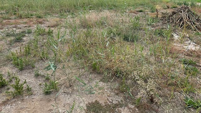 5 camera da letto Finca/Casa di Campagna in vendita in Molins - Campaneta - San Bartolomé, Orihuela con piscina garage - 162.500 € (Rif: 7945257)