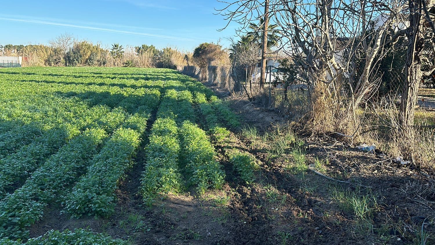 3 bedroom Villa for sale in Daya Nueva with garage - € 149,000 (Ref: 8083183)