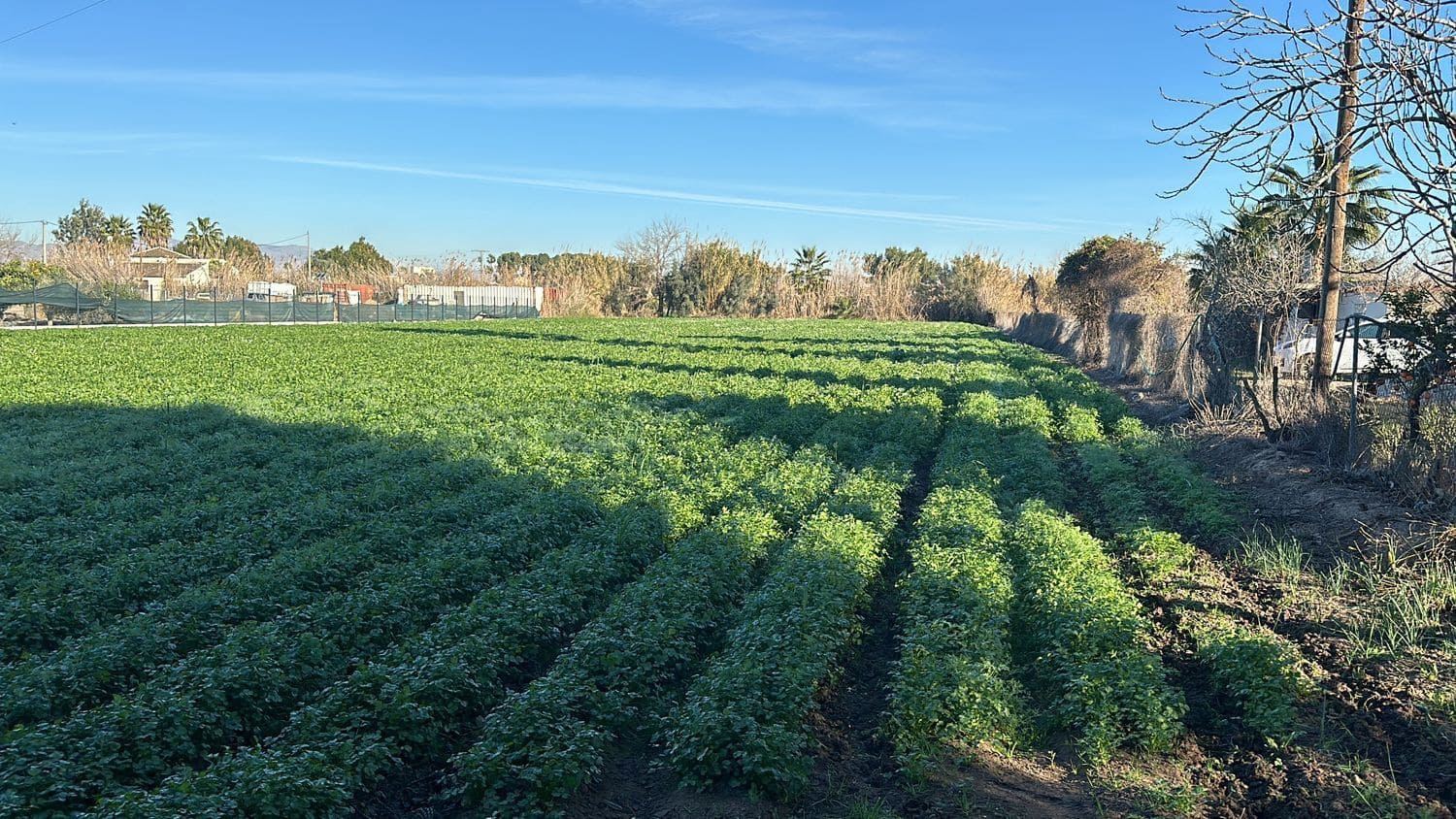 3 bedroom Villa for sale in Daya Nueva with garage - € 149,000 (Ref: 8083183)