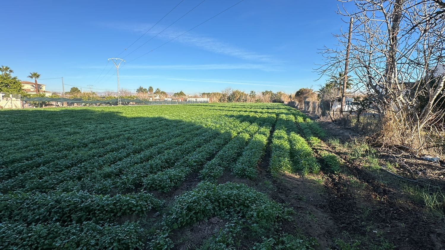 3 bedroom Villa for sale in Daya Nueva with garage - € 149,000 (Ref: 8083183)