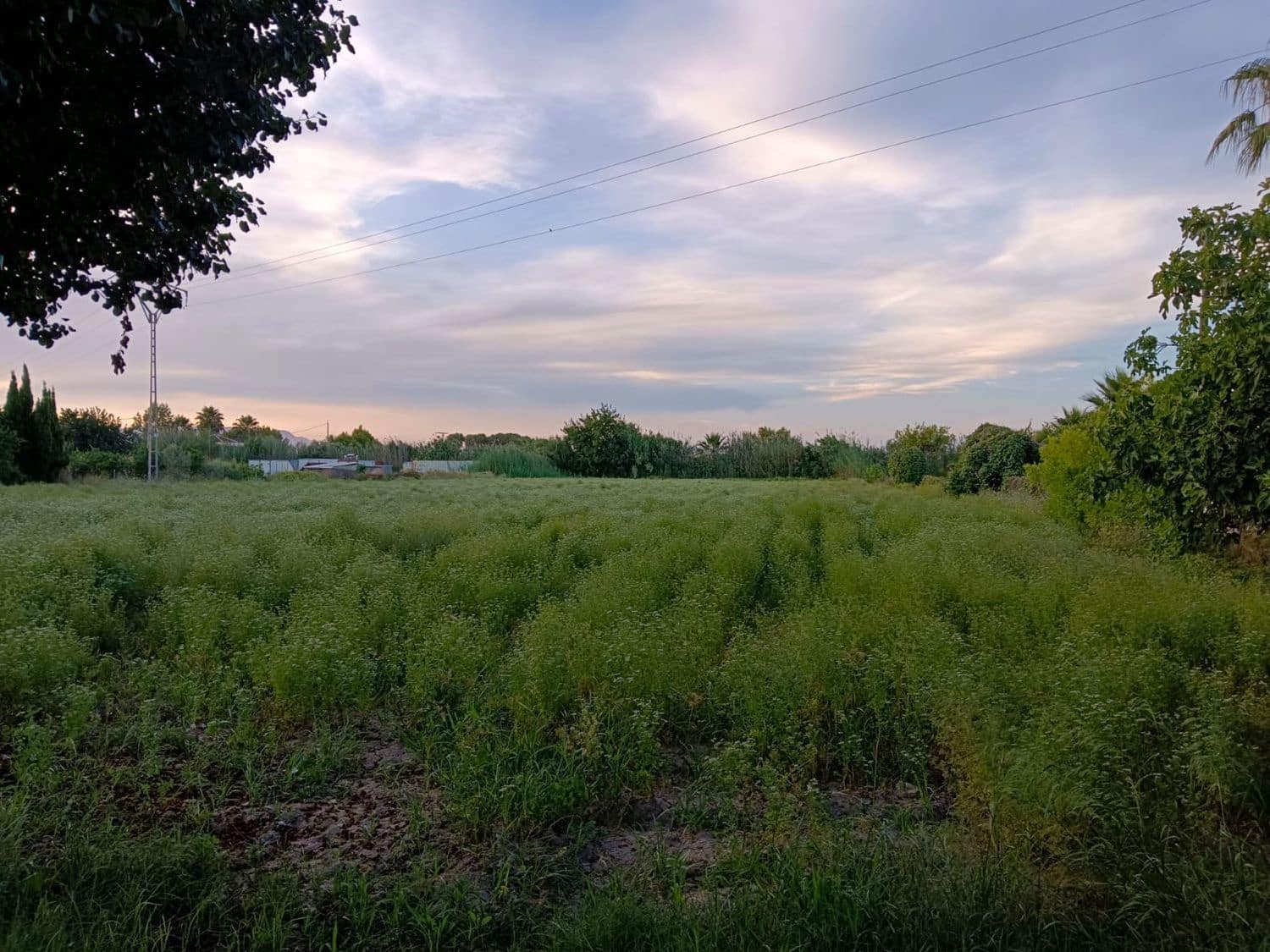 3 bedroom Villa for sale in Daya Nueva with garage - € 149,000 (Ref: 8083183)