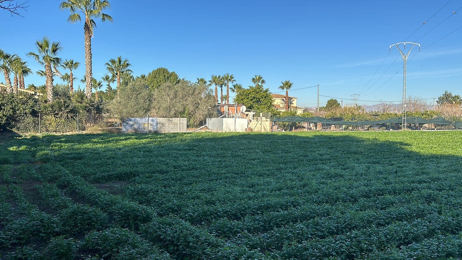 3 bedroom Villa for sale in Daya Nueva with garage - € 149,000 (Ref: 8083183)