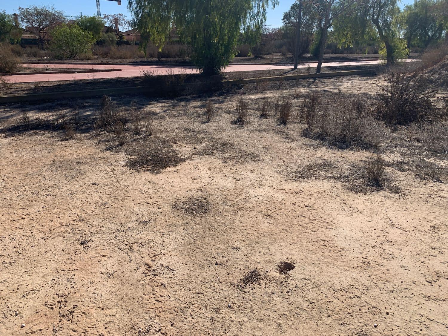 Grunde uden byggetilladelser til salg i Los Montesinos - € 690.000 (Ref: 8100296)