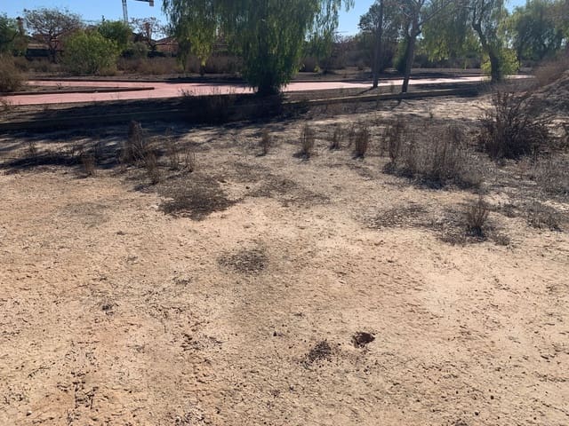 Grond te koop in Los Montesinos - € 690.000 (Ref: 8100296)