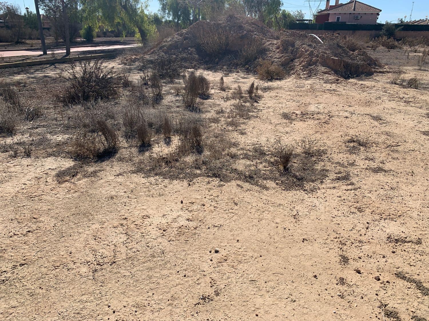 Grunde uden byggetilladelser til salg i Los Montesinos - € 690.000 (Ref: 8100296)