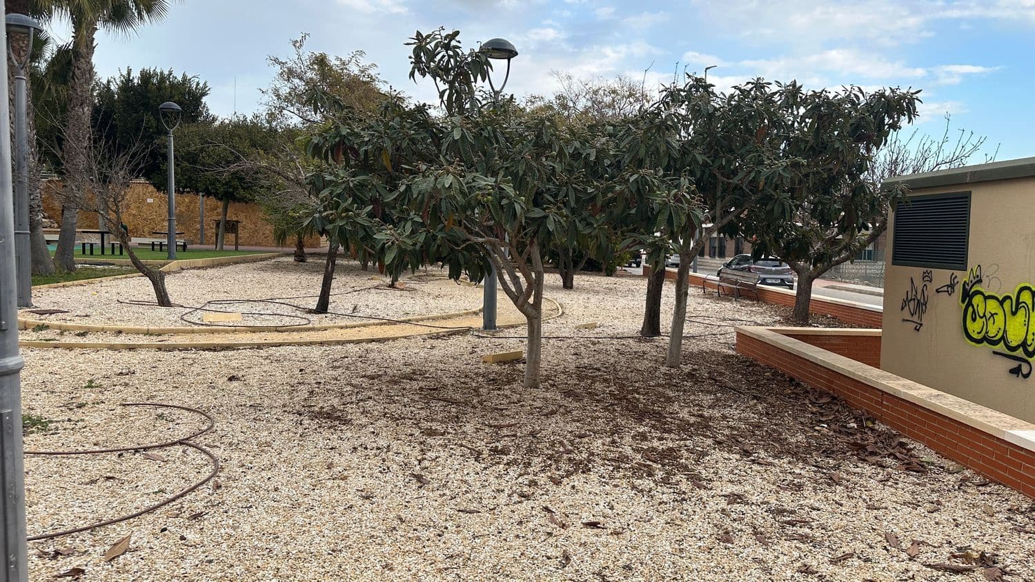 Mark till salu i Los Montesinos - 378 000 € (Ref: 8168276)