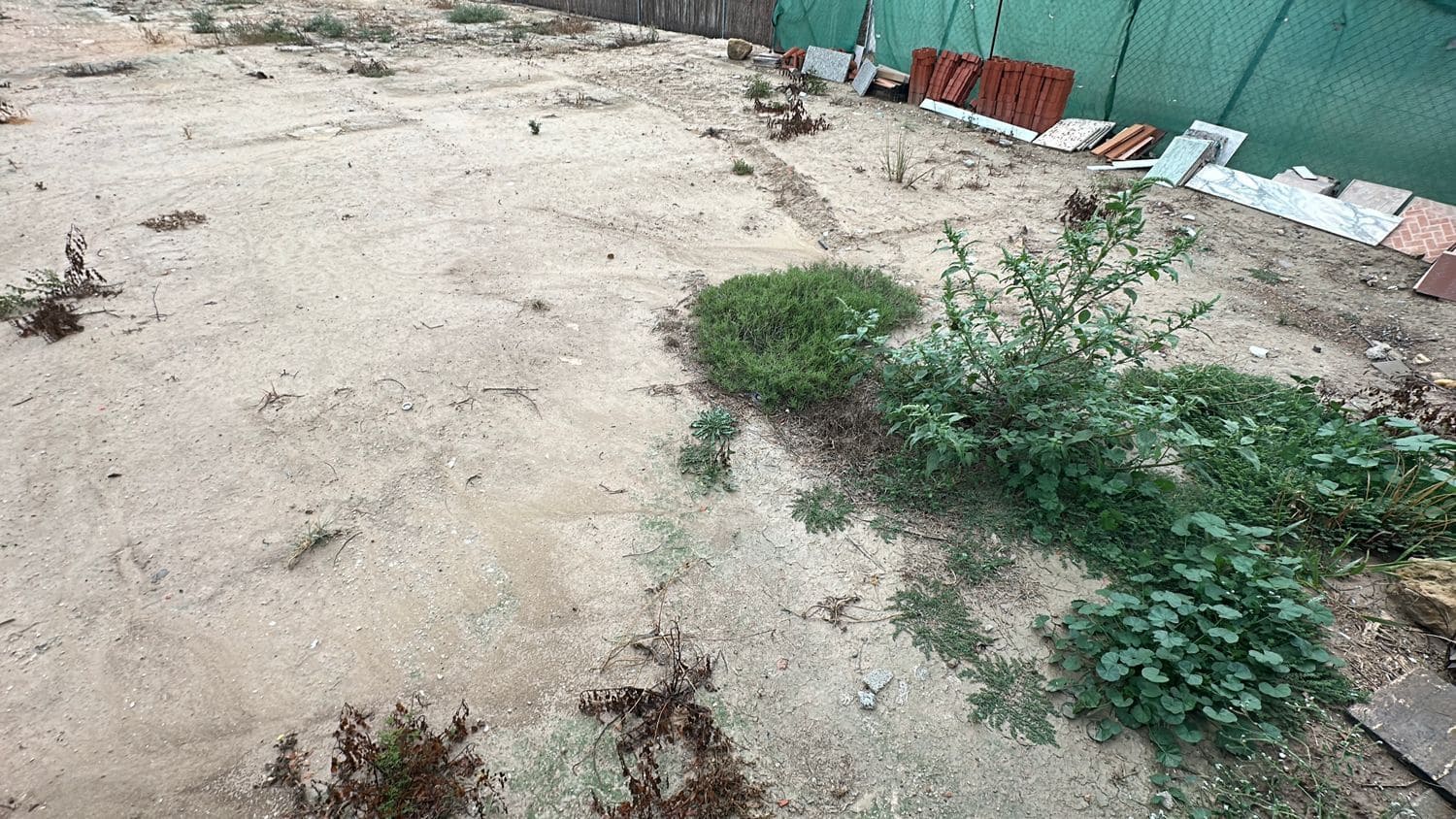 Grunde uden byggetilladelser til leje i Formentera del Segura - € 300 (Ref: 8370592)